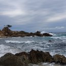 기성망양 이미지