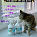 마이펫톡톡 이미지