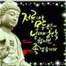 철마공원 Daum카페