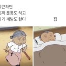 미용사(헤어) 자격증 이미지