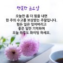 또바기님들 좋은아침이에요 오늘도 또박이님들 행복한 하루 보내세요 이미지