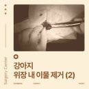 대흥동물병원 이미지