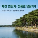 NR-45[문화로]-상-647 | 제천 의림지·청풍호 당일치기, 차 없이 기차로