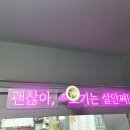 돼지가얼었네 이미지