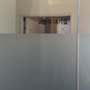 Be 동물병원 | 인계동 뿌리동물병원 | 푸들 7살 강아지 콩지 건강검진 후기