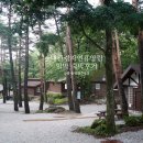 대관령 자연휴양림 1박 후기(Ft. 강릉 송정해수욕장)