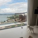 스테이 사선 이미지