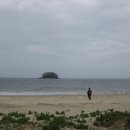 연포해수욕장(송림) 이미지