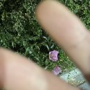 씨유전주중화산센터점 이미지