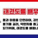 윤빛태권도 이미지