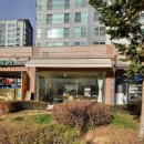 김포 장기동 애견동반가능카페 아월유! 펌킴파이가 유명한 아월유카페 (내돈내산 카페투어)