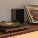 스테이 무어 이미지