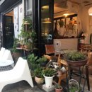 강릉 오란다 이미지