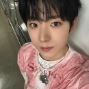 팝팝 이미지