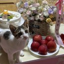 시험 끝 -!