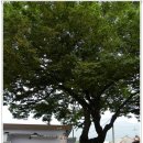 이천1리마을회관 이미지