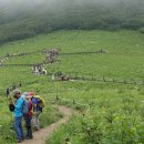 곰배령마루 이미지