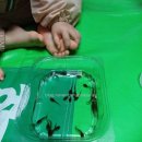 (24하반기)오감발달놀이(7~14개월) | 35개월 세돌아기 아기 사교육 근황 (히히호호 트니트니 몬테소리 맘잉 등등)