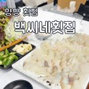 양양 낙산 자연산 횟집, 낙산항 가성비 좋은 백씨네