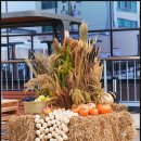 GS25  의성안계점 | 전국안주자랑, 의성 안계 행복플랫폼 현장 스케치 뜨거웠던 그날