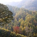 직지길(3) 이미지