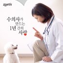 24시 폴 동물병원 이미지