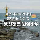 밀려오는 파도소리에 | 강릉 주문진 영진해변 뒷섬바위 – 바람과 파도가 만든 힐링 산책 코스