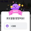 🍇알 저녁 🍱 &amp; Bonus 이미지