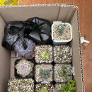 명원농장 이미지