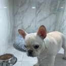 루이호텔 이미지