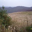 형산주유소 이미지