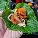 청라쭈꾸미