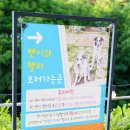 벤첼리 네이버블로그