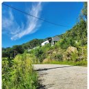 266 | 홍천 알지캠프266 후기 자연 속 여유, 그리고 안심취소의 든든함