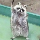 GS25부천고강점 | GS 편의점 빵추천 말차 모찌 팬케이크 내돈내산 후기 (속이 꽉찬 말차크림💚)