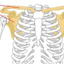 프레임짐 이미지