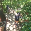 캐일리