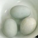 고향쌀국수 이미지