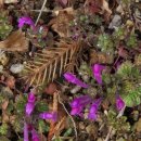 신월약국 이미지