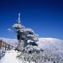 설천면 삼공삼거리 ~ 덕유산 매표소 이미지