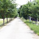 길안면보건지소 이미지