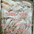 주말할인행사~~맛있는 호래기~총알오징어~백고동~살고동 이미지