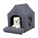 에브리데이 펫 이미지