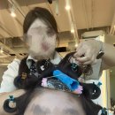 인천 미용실 추천 난생 처음 젤리펌 후기 아벨라움 미진쌤