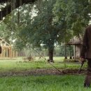 오크앨리 이미지