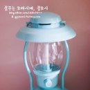 민트바나나