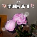 꾸까네 | 꾸까 꽃배송 내돈내산 후기, 사라 작약꽃