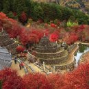 1,287차 26년11월17일 청주화요 성안산악회 경남 하동 삼성궁 산행예약자 명단 이미지