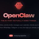 HM개발 | OpenClaw (구 Moltbot, 구 Clawdbot) 리뷰(4) : Moltbot 브라우저 자동화 - AI가 직접 웹을 서핑하는...