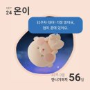 우만리나룻터강변하우스 | [임신일기/32주차] 종합병원같은 임신 후기 일상😷 부산 임산부뱃지 재발급